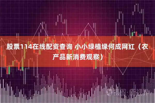 股票114在线配资查询 小小绿植缘何成网红（农产品新消费观察）