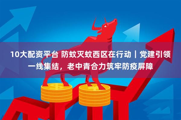 10大配资平台 防蚊灭蚊西区在行动｜党建引领一线集结，老中青合力筑牢防疫屏障